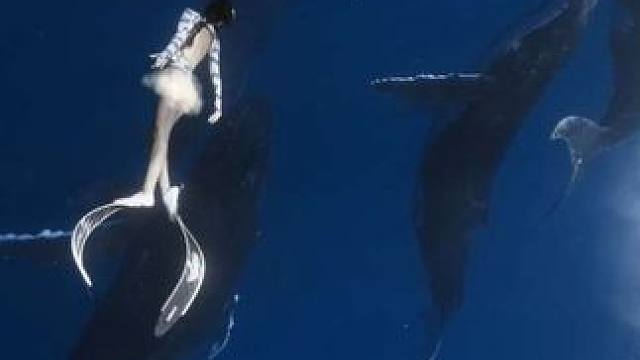 这怎么能不是人生大片呢
#自由潜 #潜水女孩 #水下拍摄 #追鲸 #蓝色治愈系