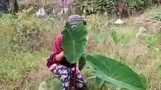 山卡卡里的农村大姐学费了开直播每天收获满满您还在恐播怕播不敢开播开播了不知说什么吗#记录真实生活 #