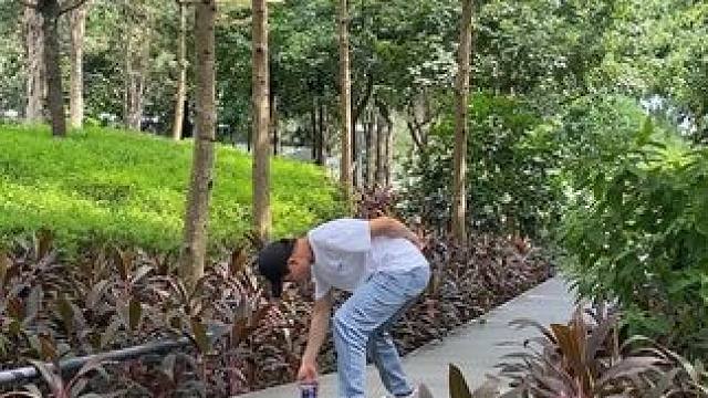 看到林荫小道试试这样拍太美了 #手机摄影 #拍摄技巧 #林荫小道 #治愈系风景