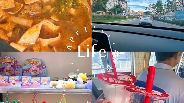 欢迎收看我的vlog