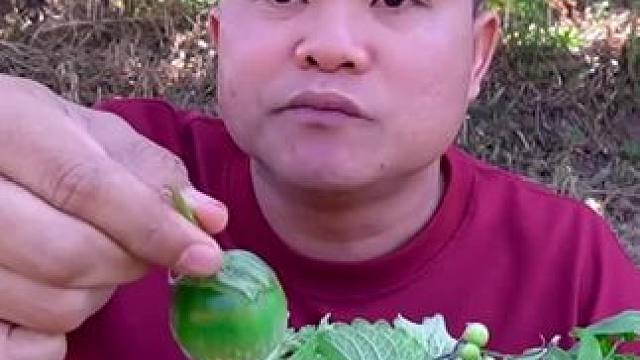 灯泡茄子牛瘪酸笋小苦果子 #内容启发搜索 #种草激励计划 #泰国大叔#泰国美食#全民任务