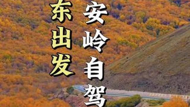 不限车型！山东自驾内蒙大兴安岭&锡林郭勒草原赏秋攻略 #创作者扶持计划#旅游攻略 #大兴安岭 #国庆