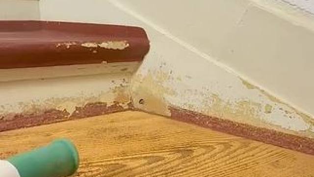 我发布了一个新视频，快来围观吧！