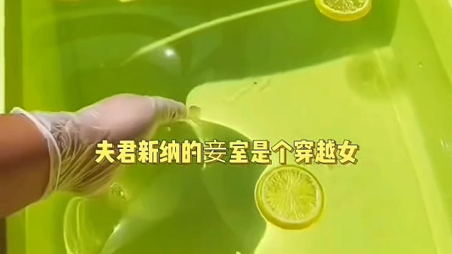 夫君挡我高升路，我送夫君入黄泉《乱世太女》