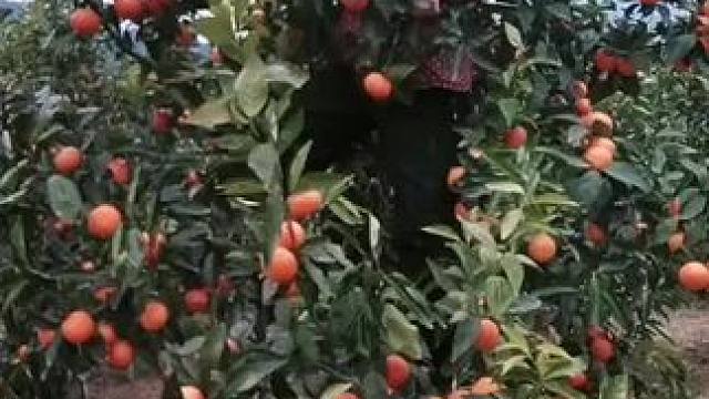 我发布了一个新视频，快来围观吧！