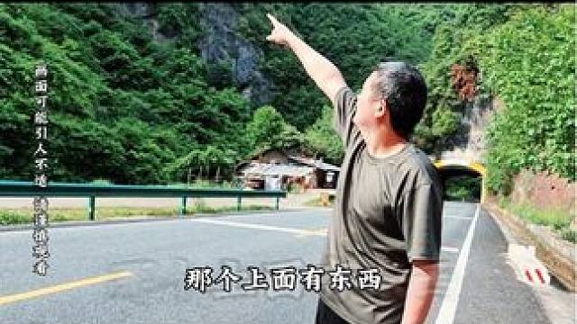 当地流传这里的神龛有灵物守护，开始以为只是一个传说，没想到是真的#万万没想到 #户外 #不可思议