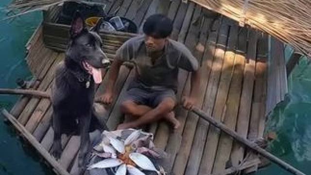 在垃圾筏上求生，荒岛挑战：升级木筏，和我的小狗一起钓鱼生火 #野外露营 #野外烹饪 #水上露营 #启