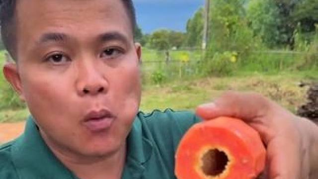 新鲜采摘香甜木瓜 #泰国大叔#全民任务#泰国美食#内容启发搜索 #种草激励计划