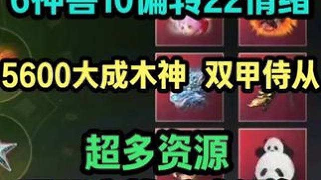 6神兽10偏转22情绪  5600大成木神 双甲侍从 超多资源 顶配实战兵魂词条