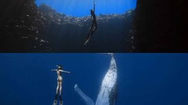 别敲门啦不在家｜我的暑假跟别人不一样
是冲向南太平洋的浪漫之旅
是追逐大翅鲸的震撼之旅
出镜:Lx
