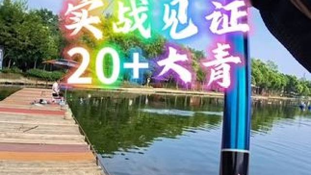十几米水深旗舰版拔20+大青全过程#空钩悟道锦粼旗舰版 #拔大青