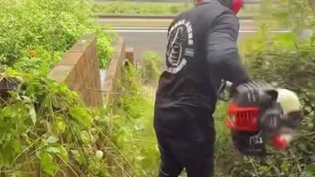 澳洲清洁工一大早就开始了高薪又解压的工作！#庭院清理 #深度清洁 #极度舒适