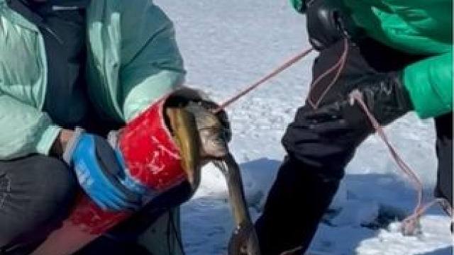 #捕鱼达人 #捕鱼