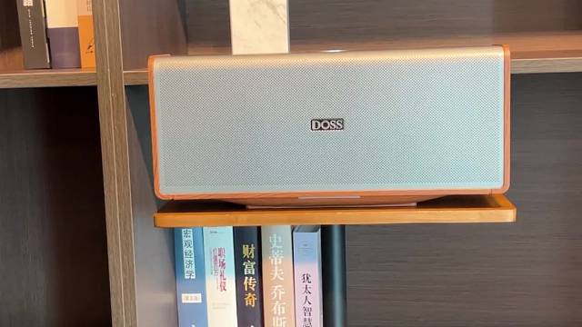 一眼心动的高级感！DOSS全景声音响