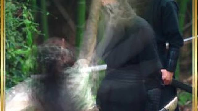 叶逍遥戌边十年战功卓著 归乡途中与女儿小七救下微服私访的皇帝赵观澜，后被其设计参加比武招亲，与长公主