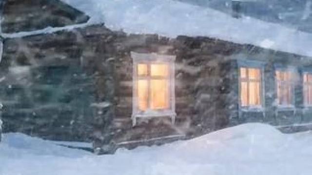 狂风暴雪来袭，在温暖的白桦林小屋，伴随着风雪声入眠 #睡个好觉 #助眠视频 #解压助眠 #白噪音 #