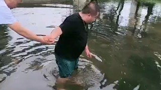 金豬在家旁邊小河里