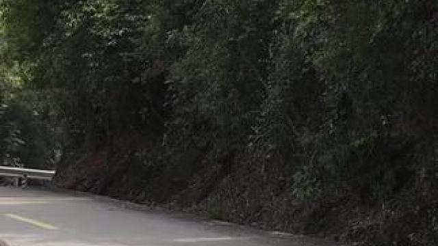 #南昆山赛道  技术好不好看一眼就知道 #南昆山   #漂移