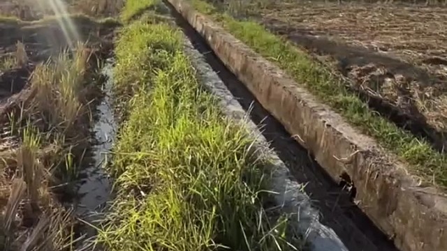 这技术    杠杠的[赞]