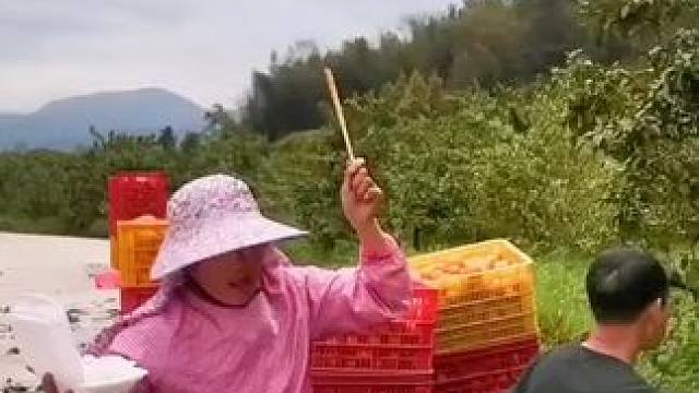 山卡卡里的农村大姐学费了开直播每天收获满满您还在恐播怕播不敢开播开播了不知说什么吗#记录真实生活 #