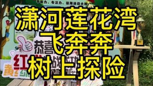 遛娃还得是飞奔奔树上探险乐园给力