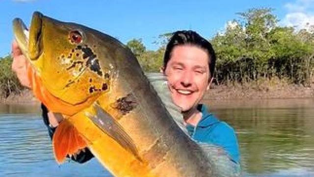 户外钓鱼收获漂亮的孔雀鲈