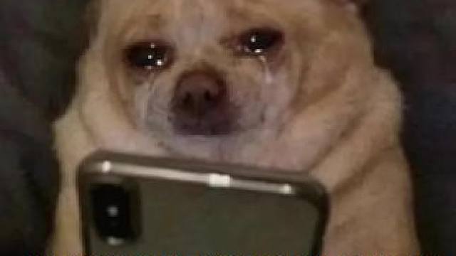 悬着一天的心终于稍微回暖了一点