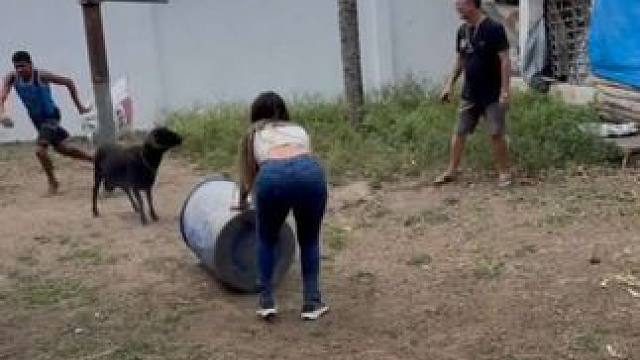 美女被小羊顶的人仰马翻 #国外视频分享 #奇妙的动物 #宠物