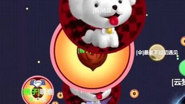 他爹来了没办法#球球大作战