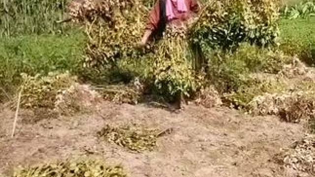 山卡卡里的的农村大姐学费了开直播每天收获满满您还在恐播怕播不敢开播开播了不知说什么吗#记录真实生活 