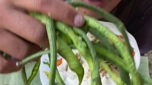 绿化带瑟瑟发抖