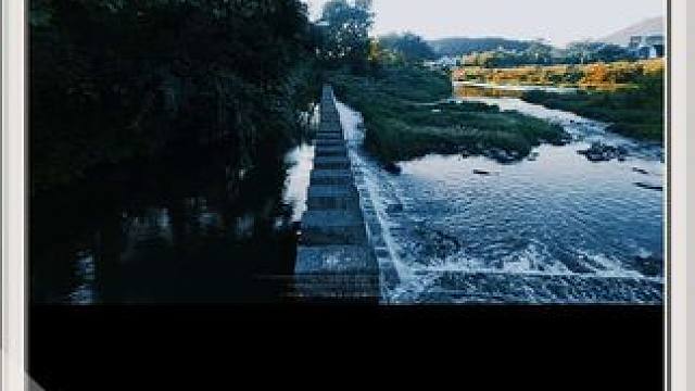 世界上没有后悔药吃的，记得下次珍惜就是了！#最美乡村风景 #日常分享 #人生感悟 #自然风景