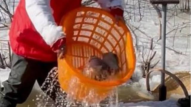 #捕鱼 #捕鱼达人