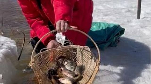 #户外抓鱼 #户外捕鱼