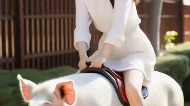 骑猪的美女