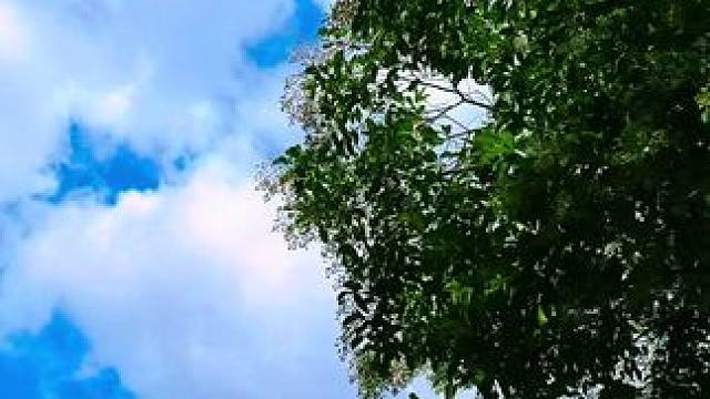 今儿个这天，也忒好了
#奢华与自然 #简约格调生活 
#乡村风格 #蓝天白云定会如期而至 #九月你好