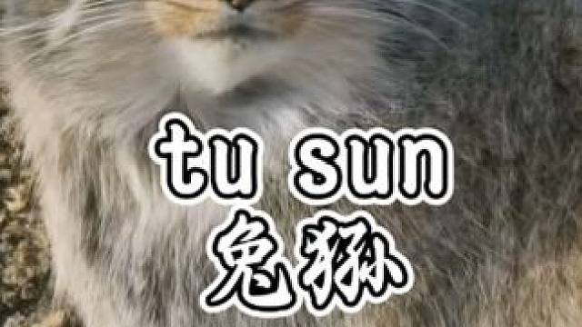 青年创作者成长计划~