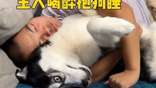 男主喝多后非要搂着二哈睡，二哈生无可恋的样子笑得人肚疼 #