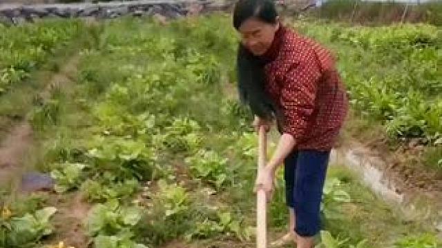 山卡卡里的农村大姐学费开直播每天收获满满您还在恐播怕播不敢开播开播了不知说什么吗#记录真实生活 #农