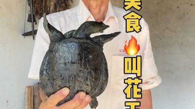 今天做一个叫花王八！#美食 #记录我的农村生活  #我的乡村生活  #甲鱼  #新农人计划