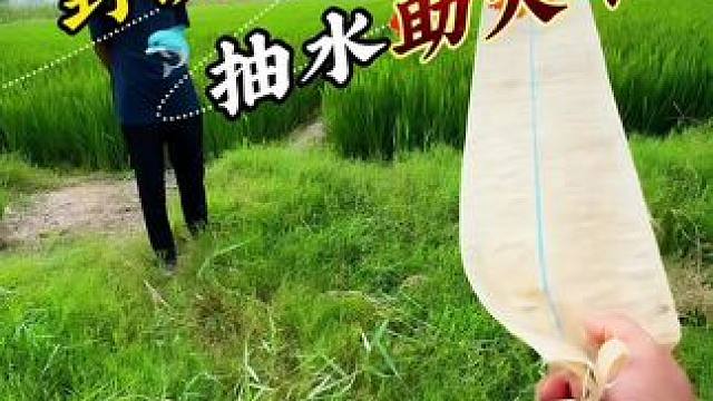 野坑抽水灌溉抓鱼 #抽水#抓鱼#户外抽水#聚鱼多 #老坛甜薯方块饵