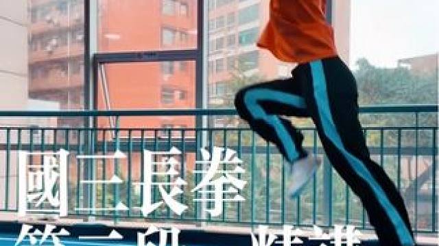 国三长拳｜第二段精讲 每一处动作的技术追求和细节处理，都是对于技术理解的体现。#武术 #国际武术冠军