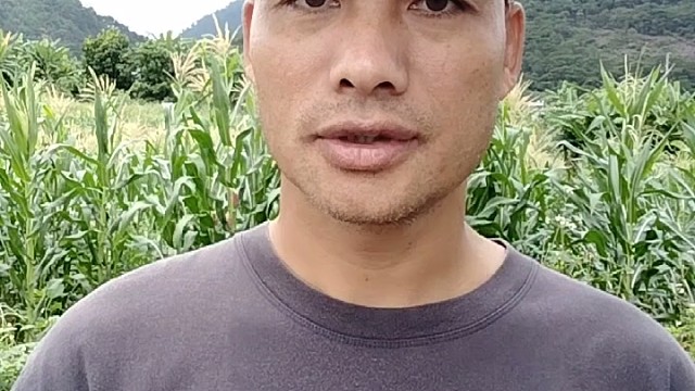 自己毁家还怪老婆