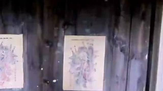 我发布了一个新视频，快来围观吧！