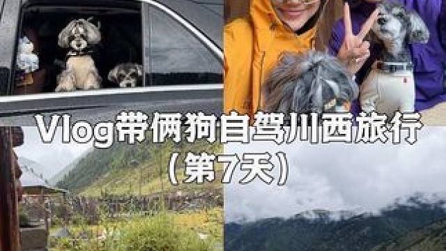 Vlog.292｜带俩狗自驾川西旅行 一个人从河北出发自驾两天到达成都 在成都住了四晚和弟弟@阿喆 