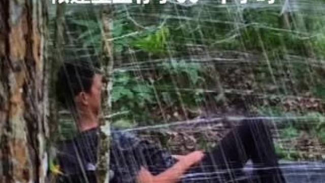 独自在雨中的塑料帐篷里生存了60 个小时 #雨中露营 #野外建造庇护所 #野外生存 #启发搜索激励计