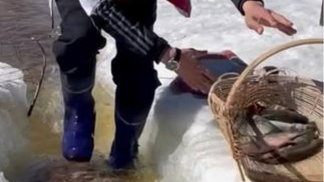 #户外捕鱼 #捕鱼达人