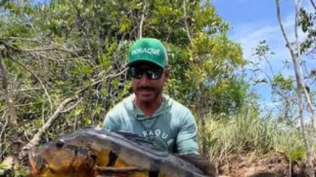 老哥钓到了一条味道鲜美的孔雀鲈 #国外视频分享 #好大一条鱼 #钓鱼