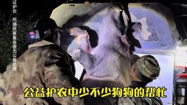 公益护农中，机油手也是缺一不可的 猜猜有多重？