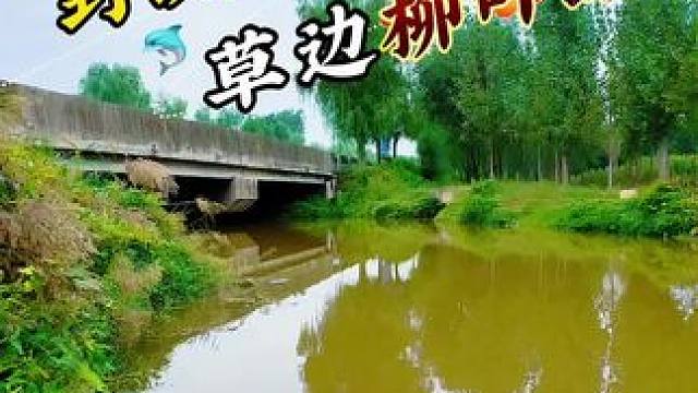 涨水小河草头边真藏鱼
